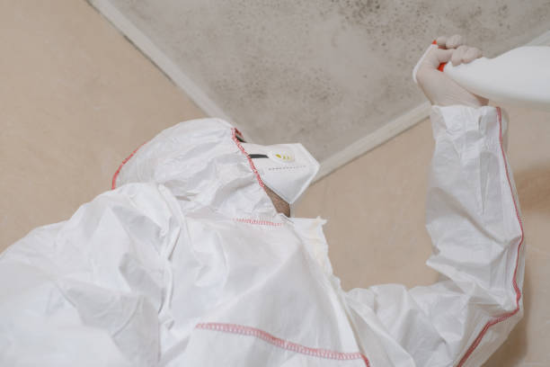 Mold Remediation for Rental Properties in Belle Haven, VA